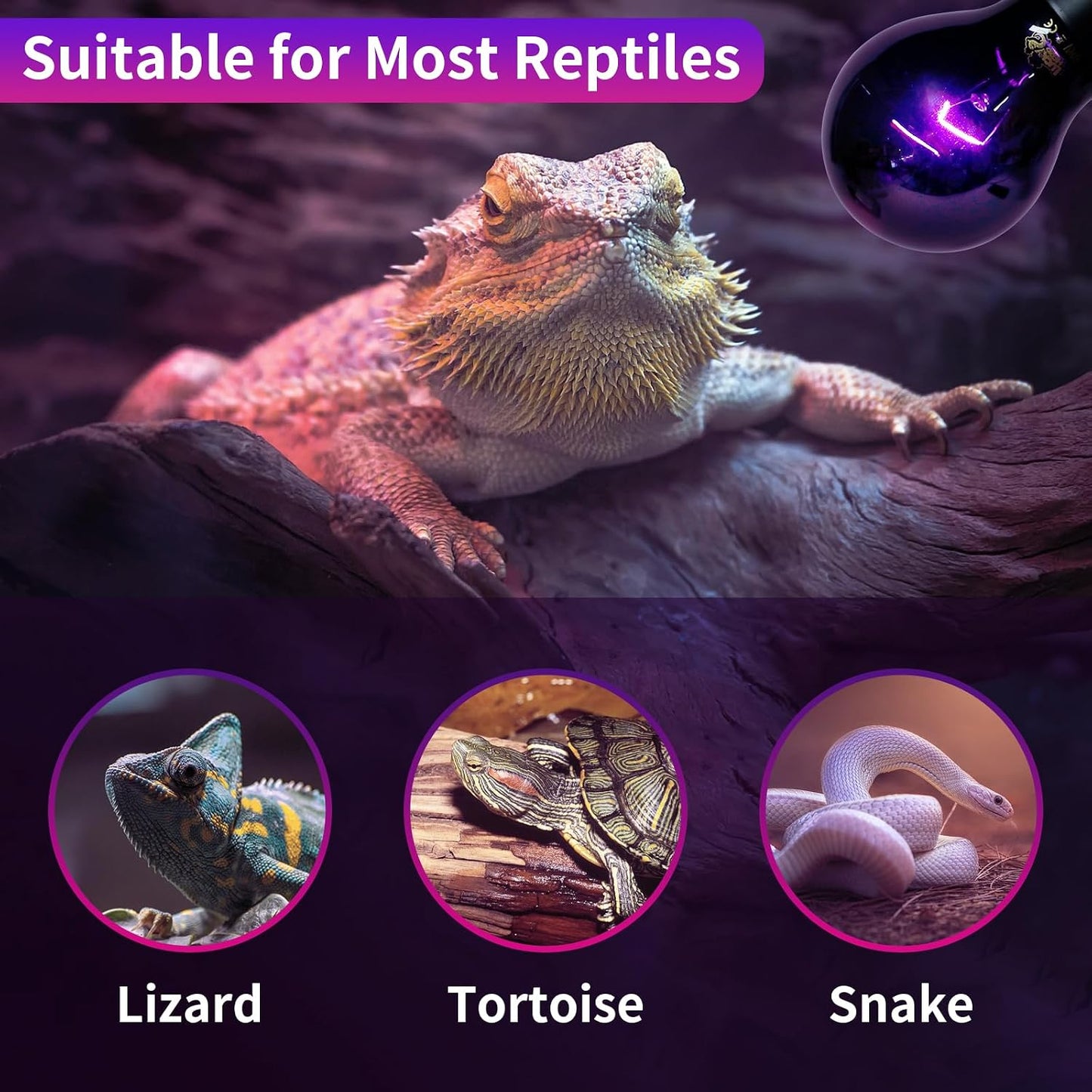 Lucky Herp standard screw base night basking light for snake enclosures