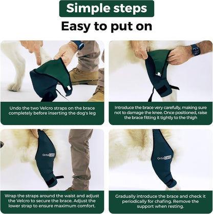 Side angle of the Ortocanis pet joint support showing the waist strap attachment mechanism