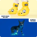 Non-slip tread sole design of authentic Barkbox dog booties