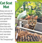 Black plastic cat repellent mat rolled out on garden soil