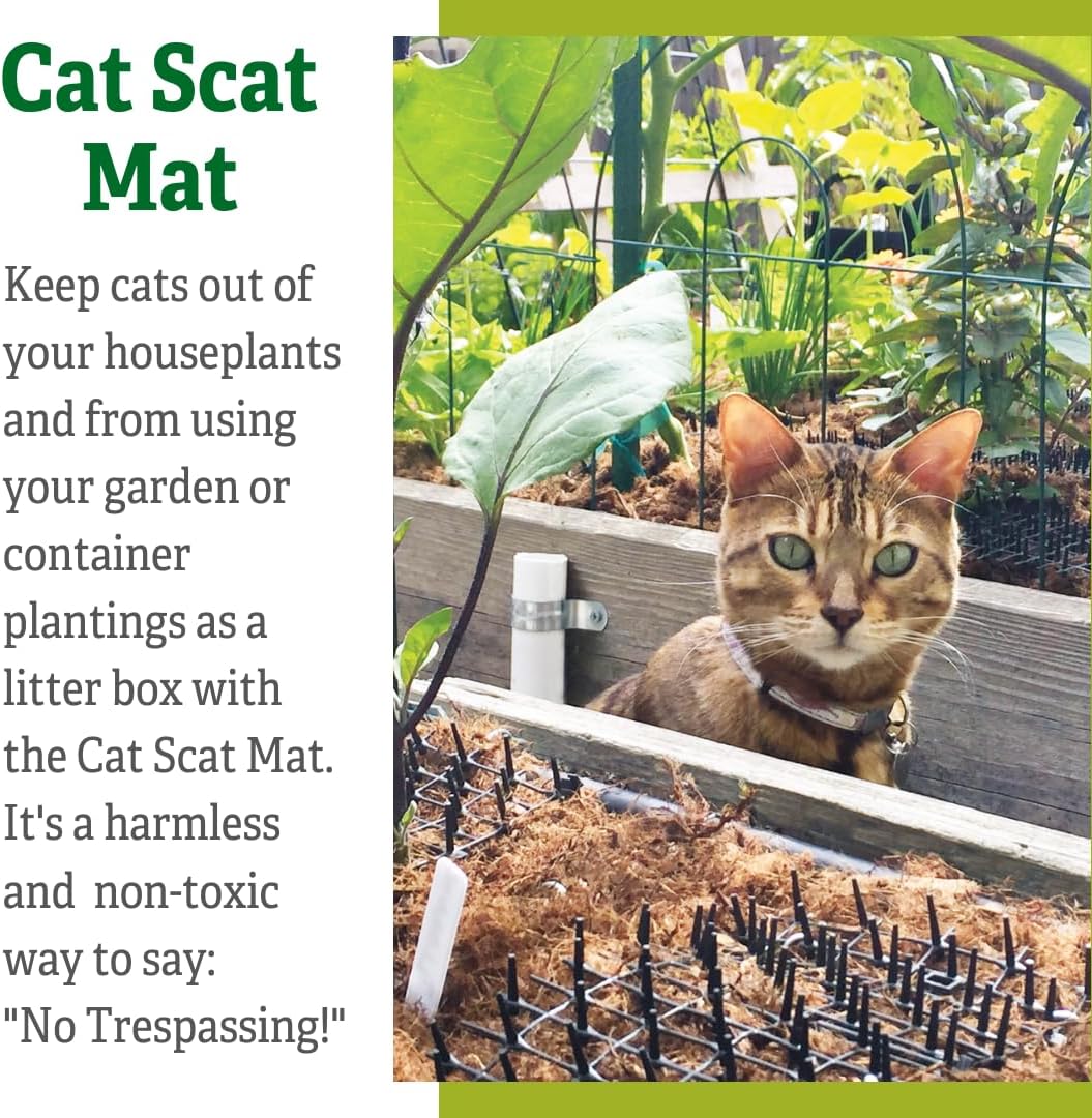 Black plastic cat repellent mat rolled out on garden soil