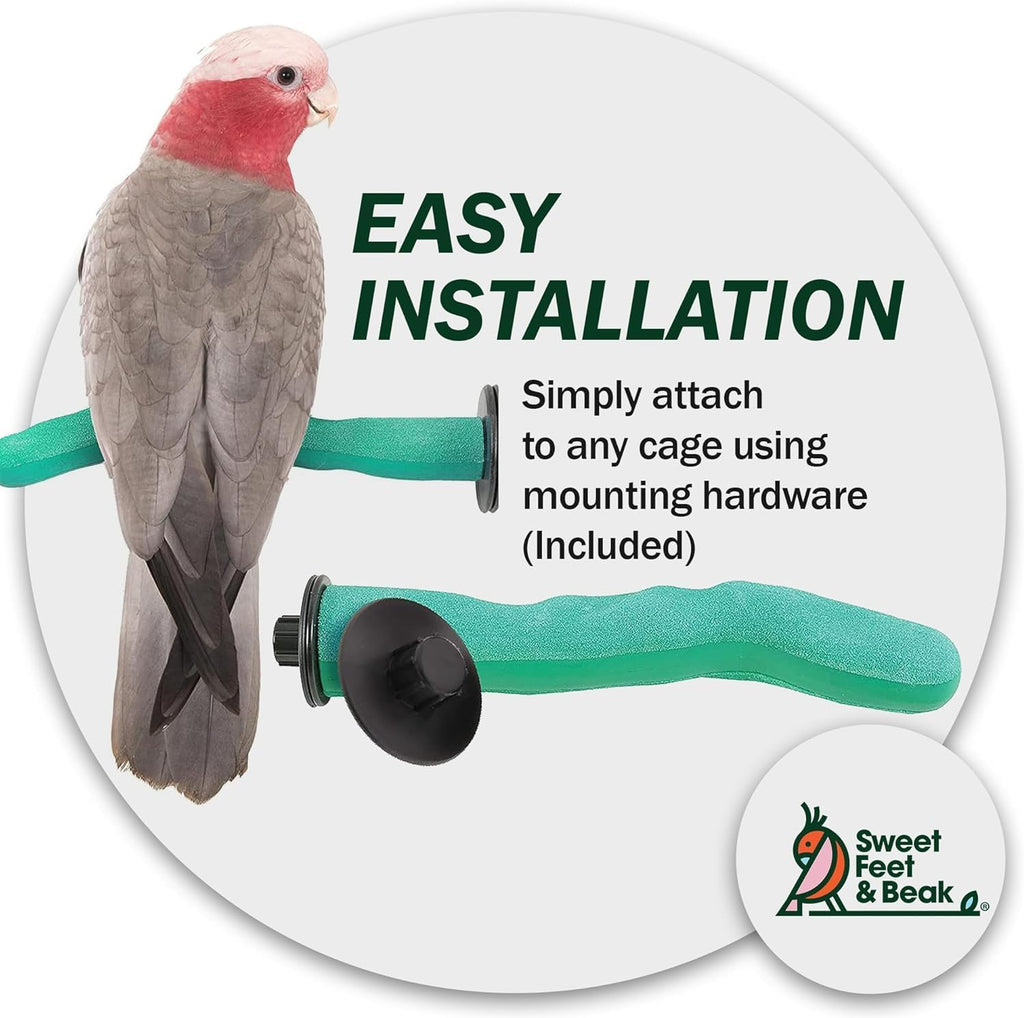 Sweet Feet and Beak Safety Pumice Bird Perch, Small Pedicure Perch, Green - Image 6