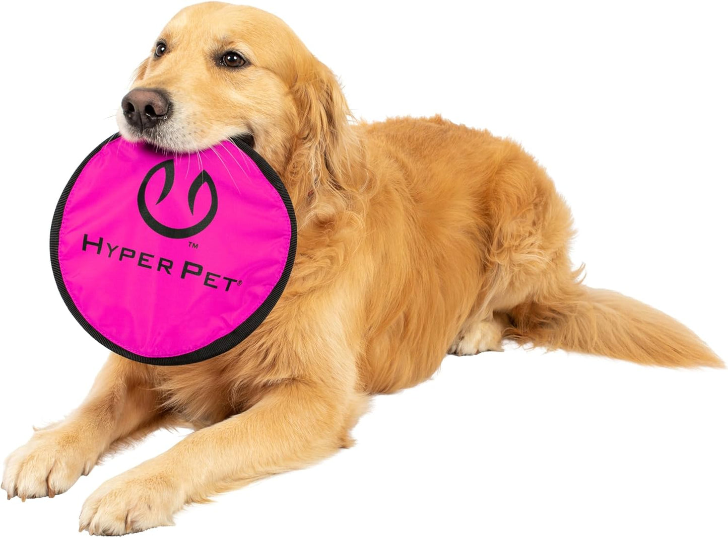 Hyper Pet Flippy Flopper 9" Flying Disc Soft Dog Toy, Floats in Water & Safe on Teeth, for All Breeds, Pack of 2 (Colors May Vary) - Image 11