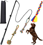 ASOCEA authentic imported premium quality pet flirt stick showing packaging details and components