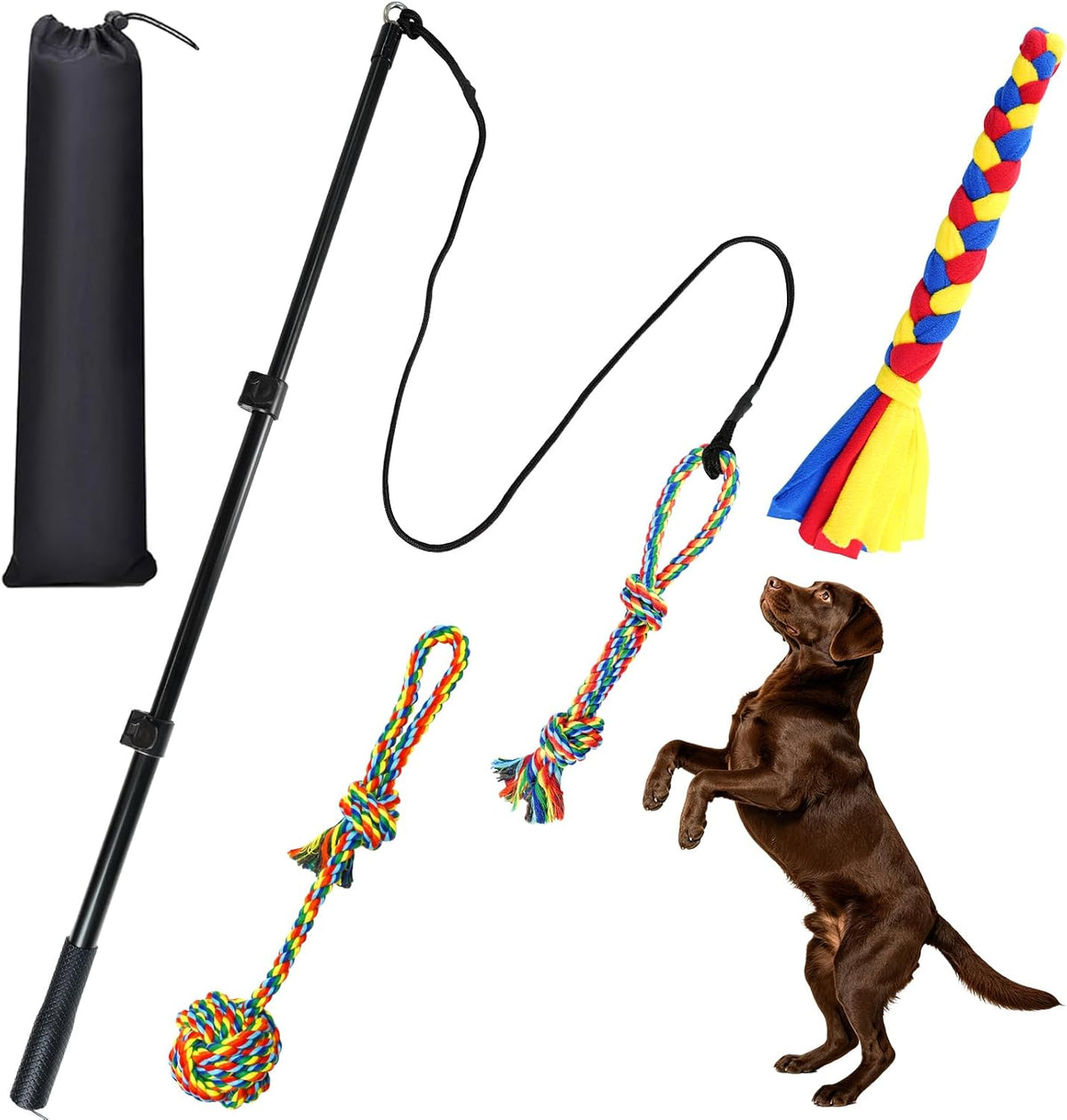 ASOCEA authentic imported premium quality pet flirt stick showing packaging details and components