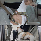 Universal seatbelt clip for pet travel installed on car belt