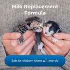Ready-to-feed kitten milk replacement liquid formula in a measuring spoon