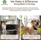 Pawtria Recyclable Packaging And Dog Poop Bags Assortment
