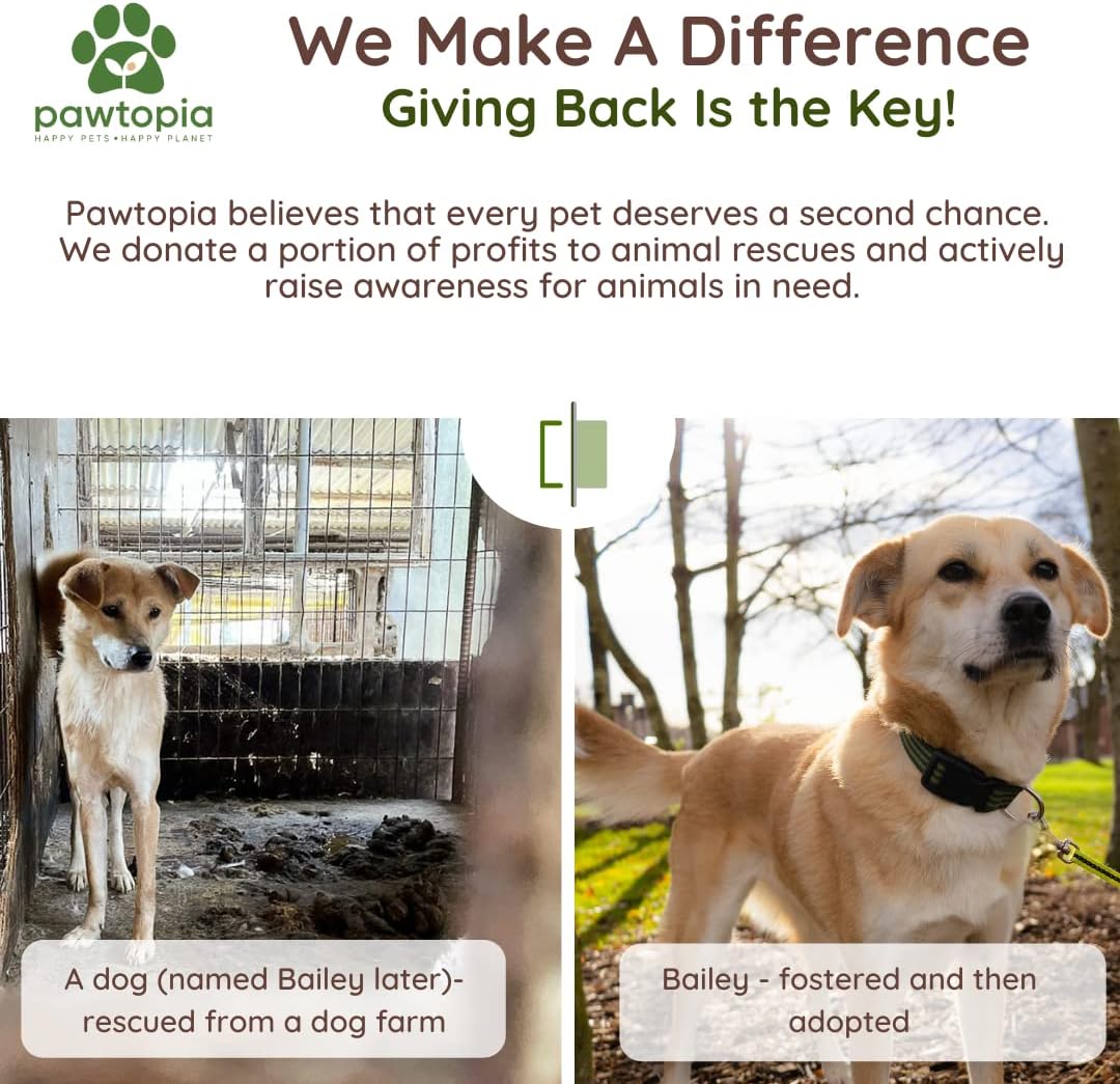 Pawtria Recyclable Packaging And Dog Poop Bags Assortment