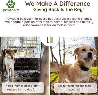 Pawtria Recyclable Packaging And Dog Poop Bags Assortment