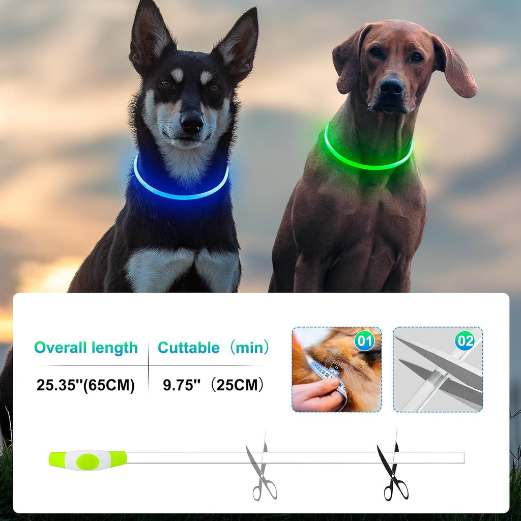 Kpuplol dog collar glowing in dark setting
