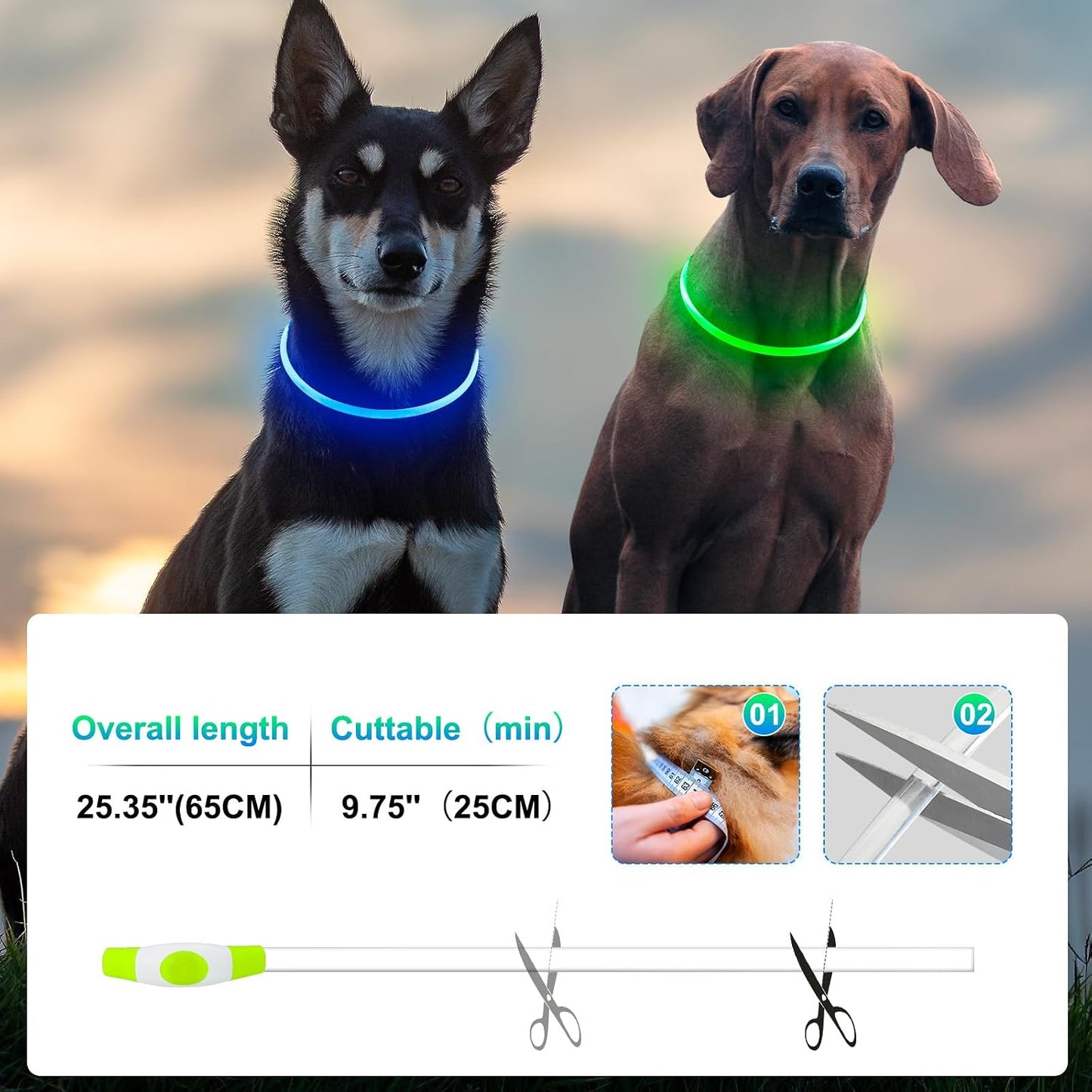 Kpuplol dog collar glowing in dark setting