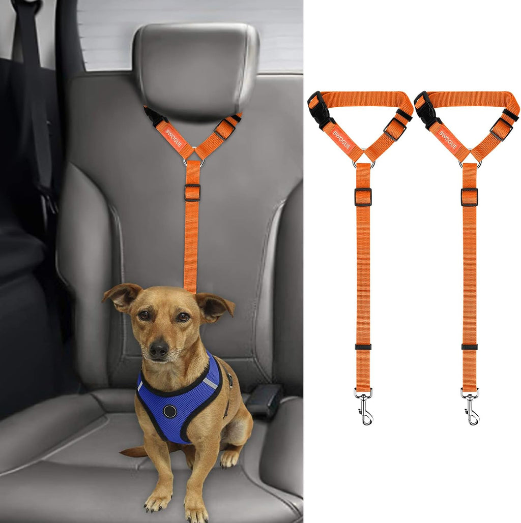 Bwogue pet seat belt attached to car headrest