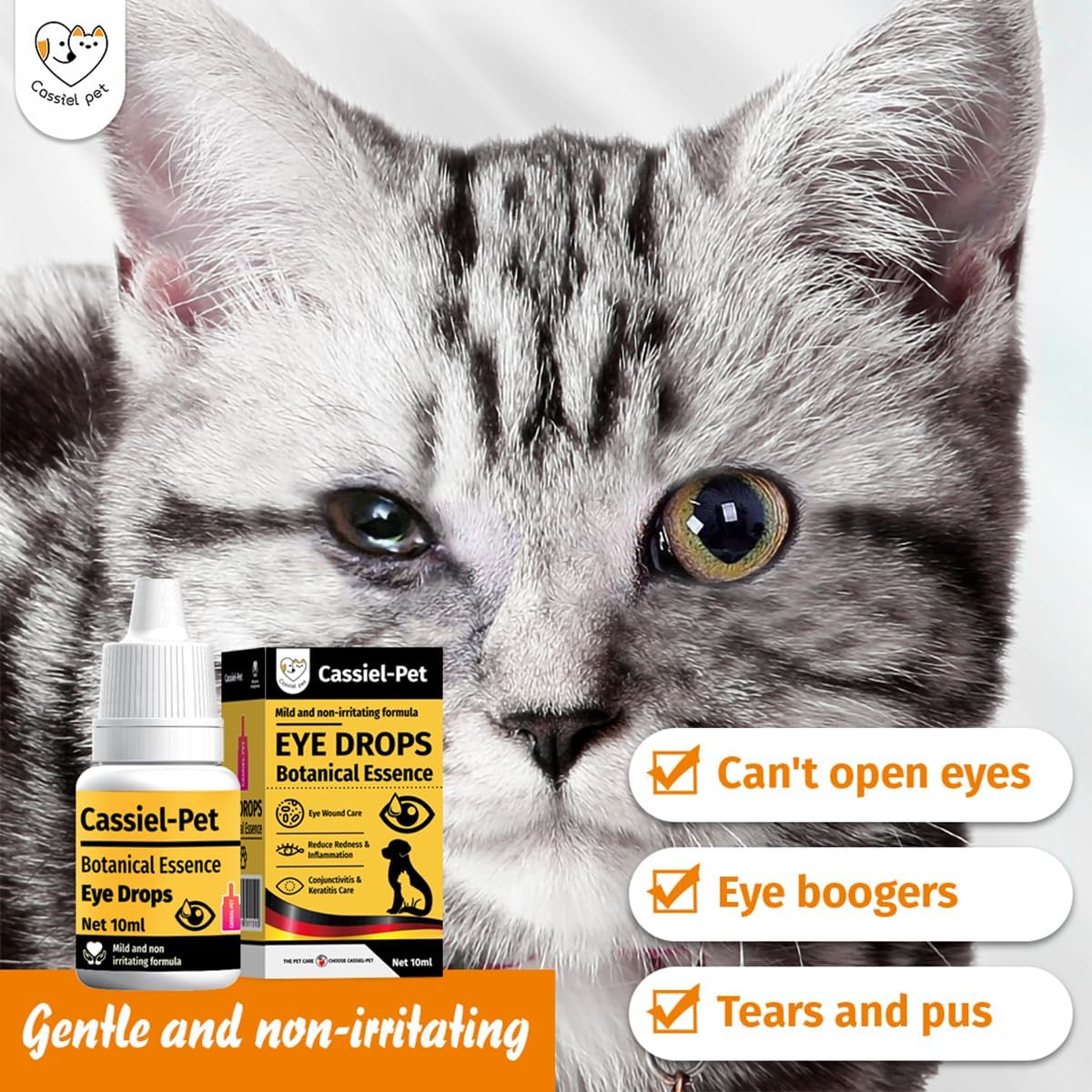 Cassiel Pet eye drops bottle showcasing the 10 ml packaging layout.