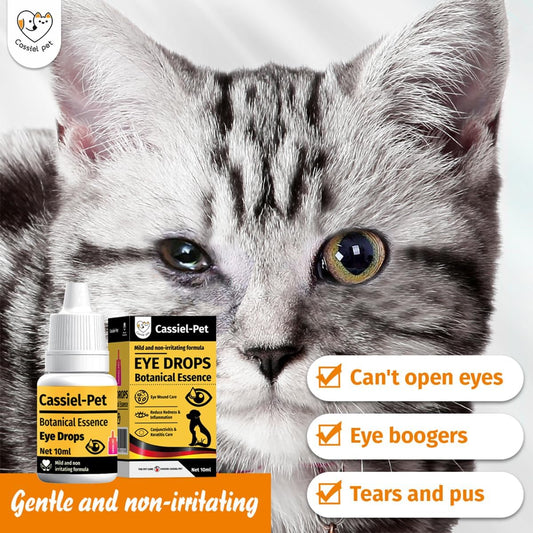 Cassiel Pet eye drops bottle showcasing the 10 ml packaging layout.