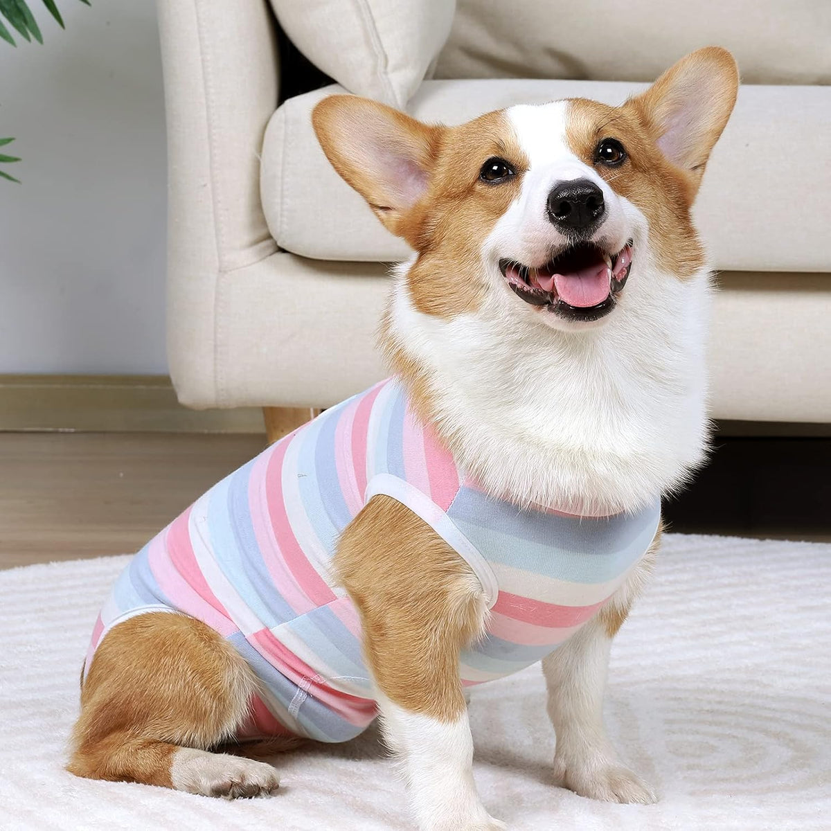 Coppthinktu lightweight full body cat and dog surgical pajamas