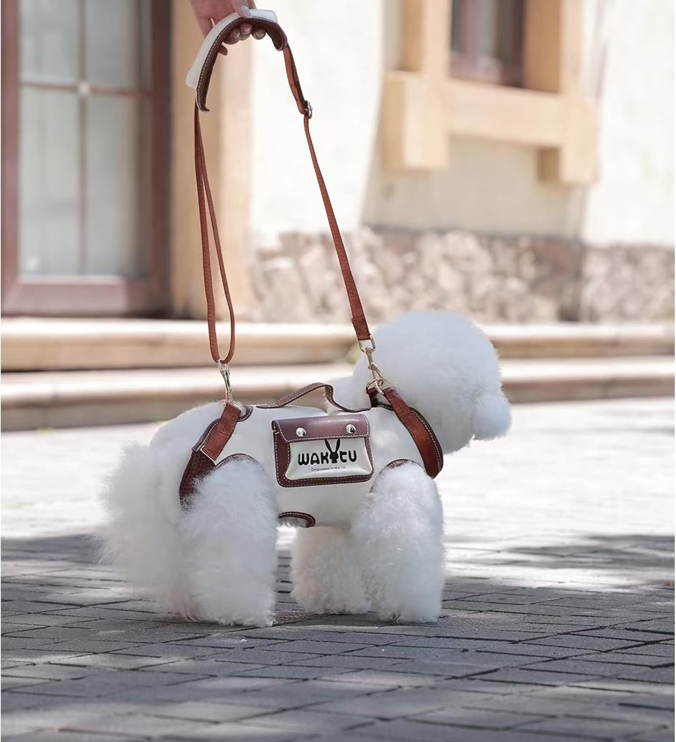 Lifestyle shot of Wakytu dog carrier during outdoor walk