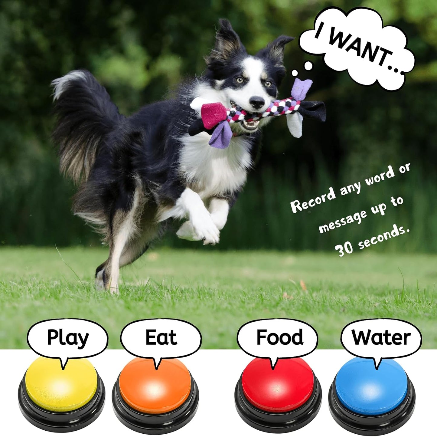 Six pack of colorful pet speech interaction buttons arranged neatly