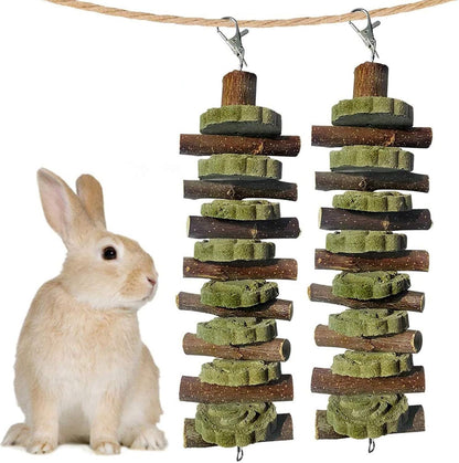 kathson Guinea Pig Treats Hanging Bunny Chew Toys for Teeth Grinding, Organic Bamboo Sticks Natural Rabbit Enrichment Toys for Small Animals Hamster Chinchilla 2 Pack - Image 12