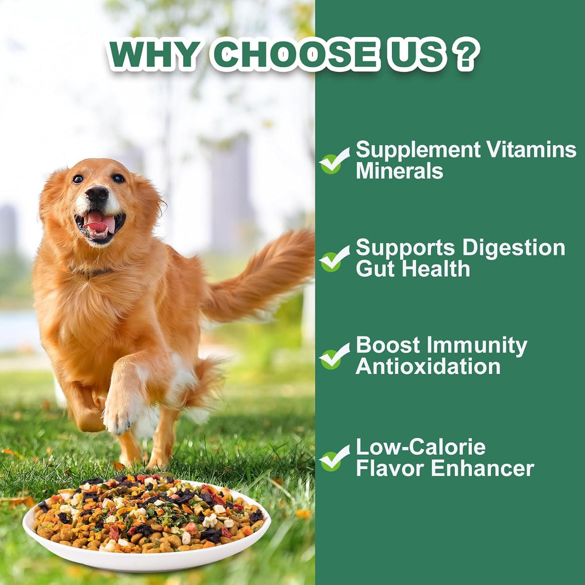 High fiber dog food topper for digestive health and gut support