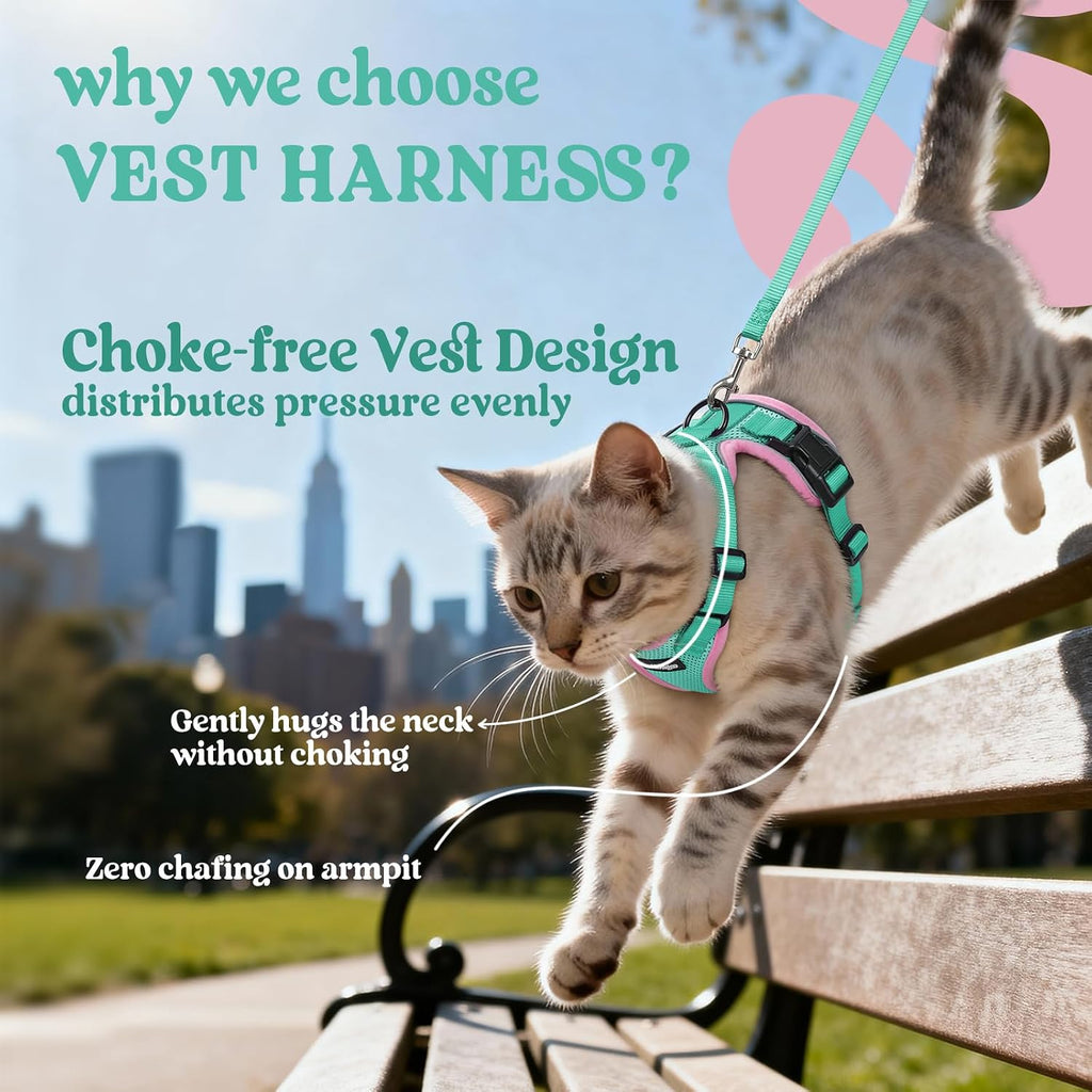 Cat wearing Rabbitgoo breathable mesh harness for walking