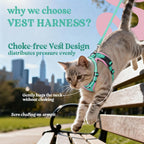 Cat wearing Rabbitgoo breathable mesh harness for walking