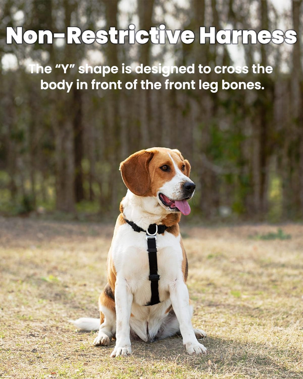 Side profile of dog wearing LufeLux freedom harness