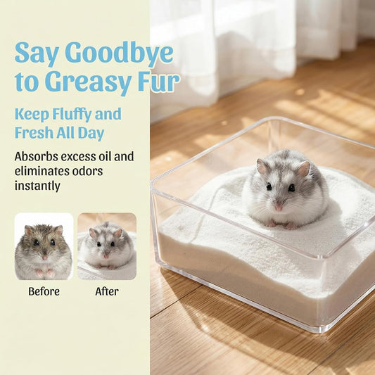 Small pet hamster rolling in Sukh silica sand bath
