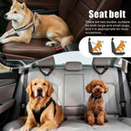 Dog using Idepet seat belt for car safety