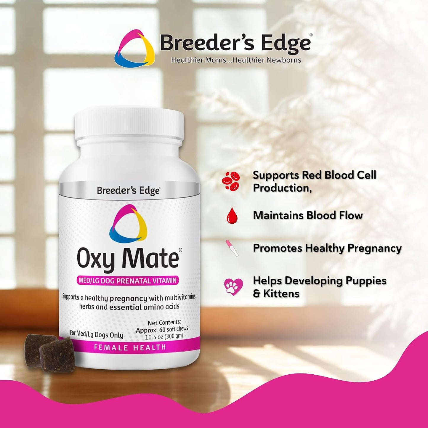 Revival Animal Health canine pregnancy supplement packaging detailing iron and folic acid benefits