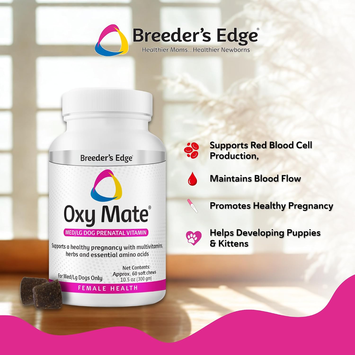 Revival Animal Health canine pregnancy supplement packaging detailing iron and folic acid benefits