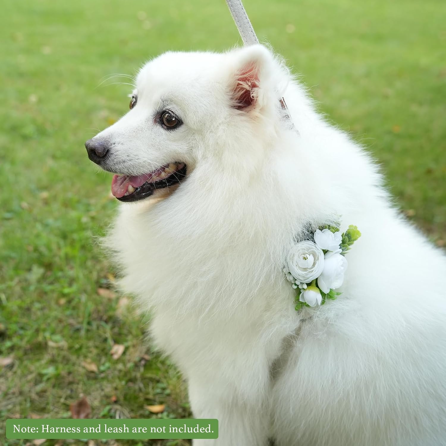 White rose accessory for cat and dog wedding attire
