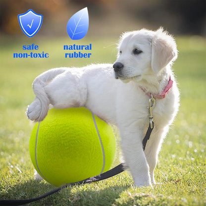 9.5 inch yellow tennis ball for large dogs