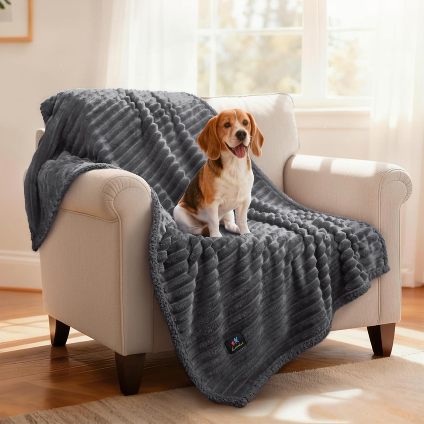 Luciphia large dog blanket texture details under studio lighting.