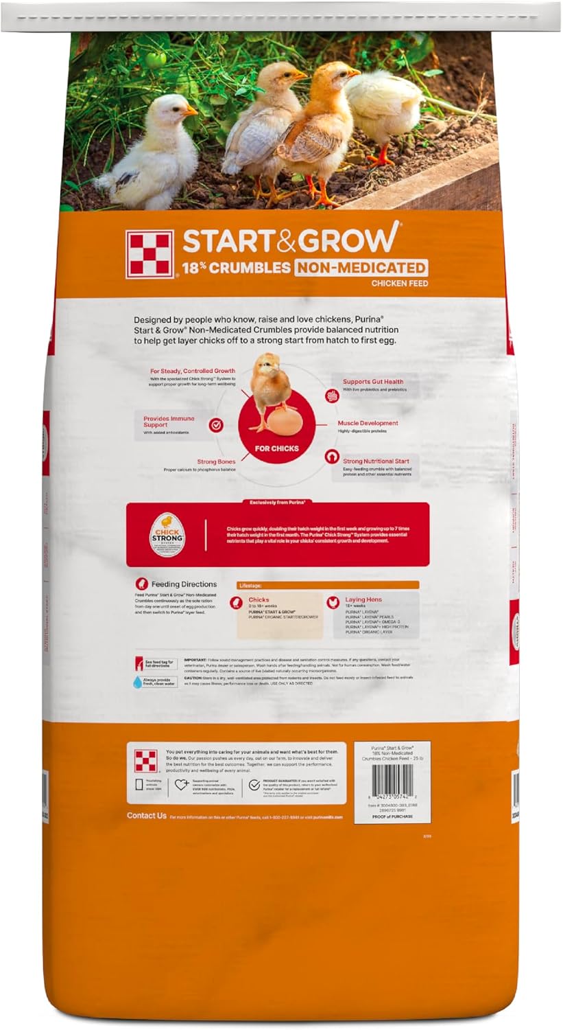Close up of Purina chick feed crumble texture for healthy development