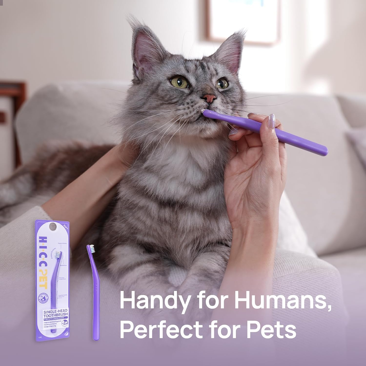 HICC PET Toothbrush for Cats & Small Dogs, Vet-Recommended Ergonomic Pet Toothbrush for Easy Teeth Cleaning, Gentle on Gums, Cat & Dog Dental Care, Improves Oral Hygiene. Toothpaste Not Included - Image 10