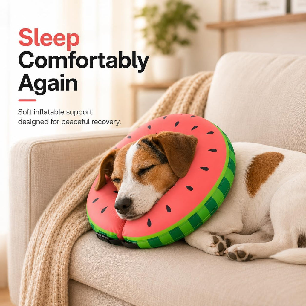 Comfortable inflatable dog donut collar preventing wound licking