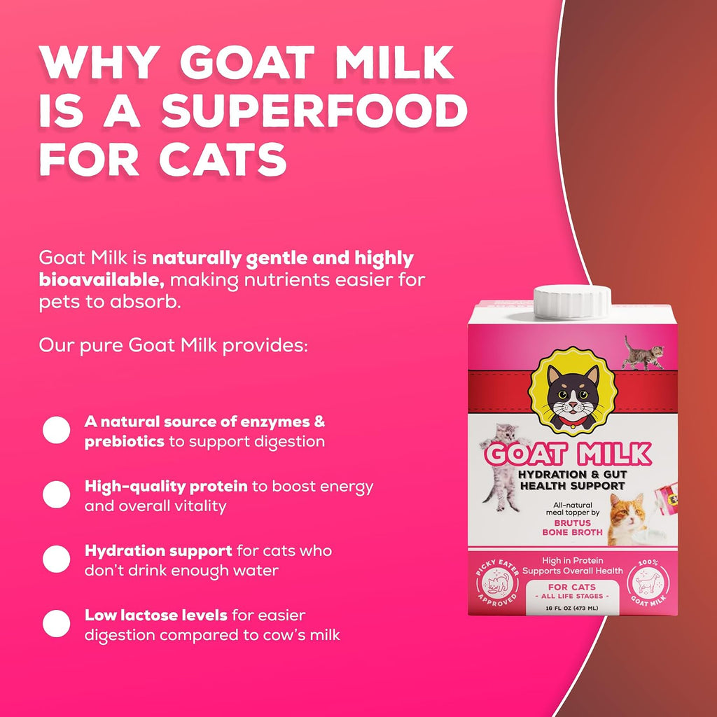 Top view of the pure low lactose cat milk packaging showing the secure resealable cap.