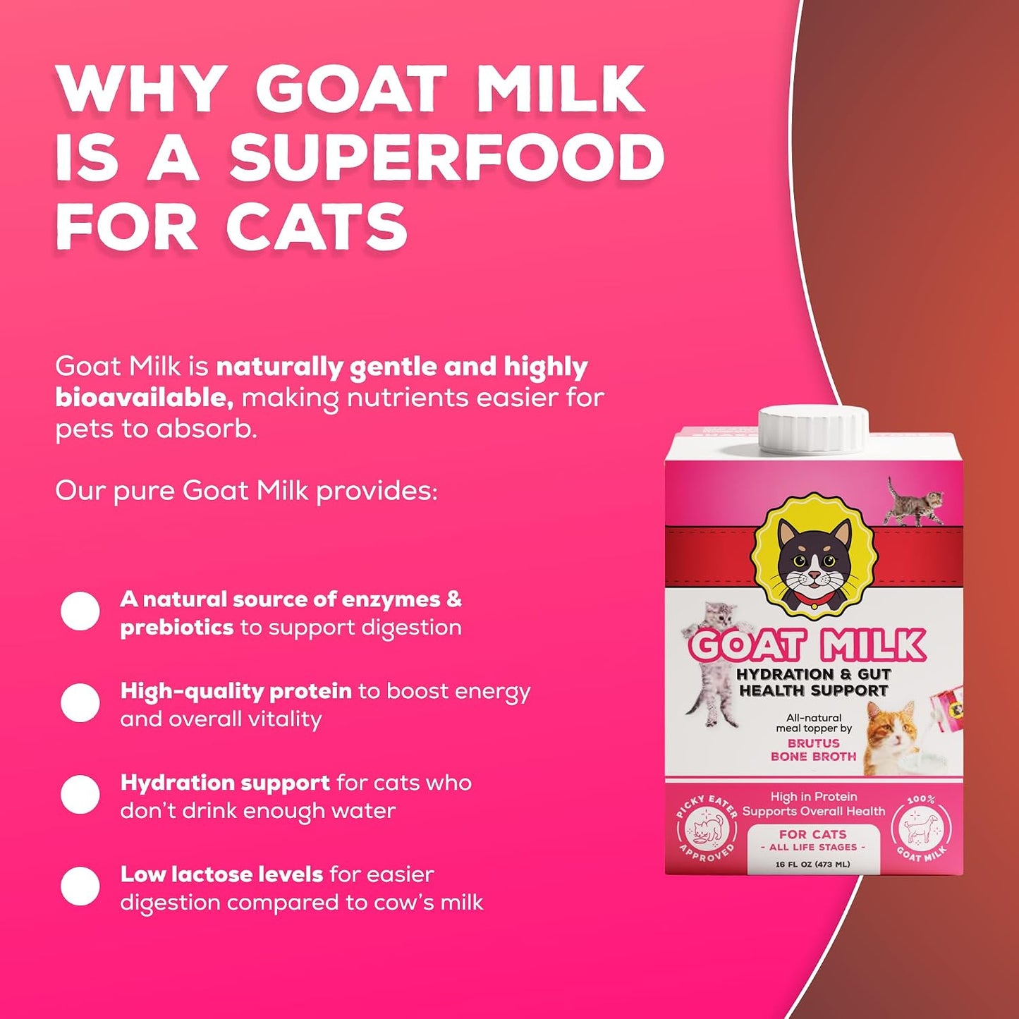 Top view of the pure low lactose cat milk packaging showing the secure resealable cap.