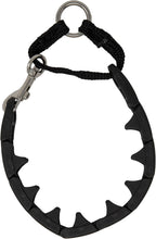 Starmark large breed obedience collar packaging view