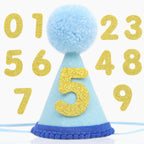 Pet Birthday Hat with Interchangeable Numbers 1-10 | Adjustable Pet Party Cone Hat for Dogs & Cats | Puppy Birthday Photo Props for 1st to 10th Birthday Celebrations (Pink Birthday Pet Hat) - Image 10