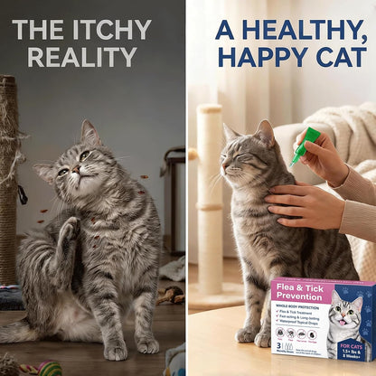 Catego contact flea control for cats application tube details