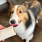 Natural beef bone for dog dental health