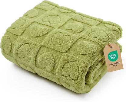 Bedsure Dog Blankets for Small Dogs Washable - Fluffy Fuzzy Cat Puppy Blanket with Premium 300GSM Coral Fleece Soft for Pet Kitten Doggy, White, 25x35IN - Image 11