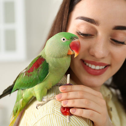 Close up of Wild Harvest Fruit Kabobs ingredients