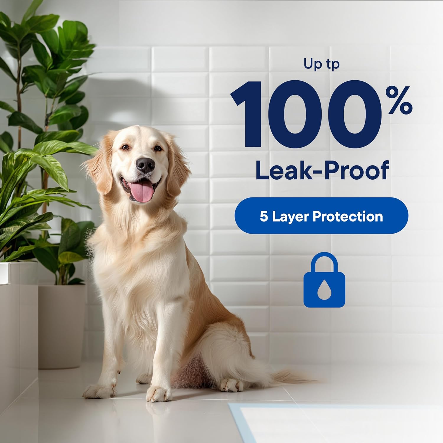 Close up look at the five layer quick dry technology of Stack Man extra large puppy training sheets.