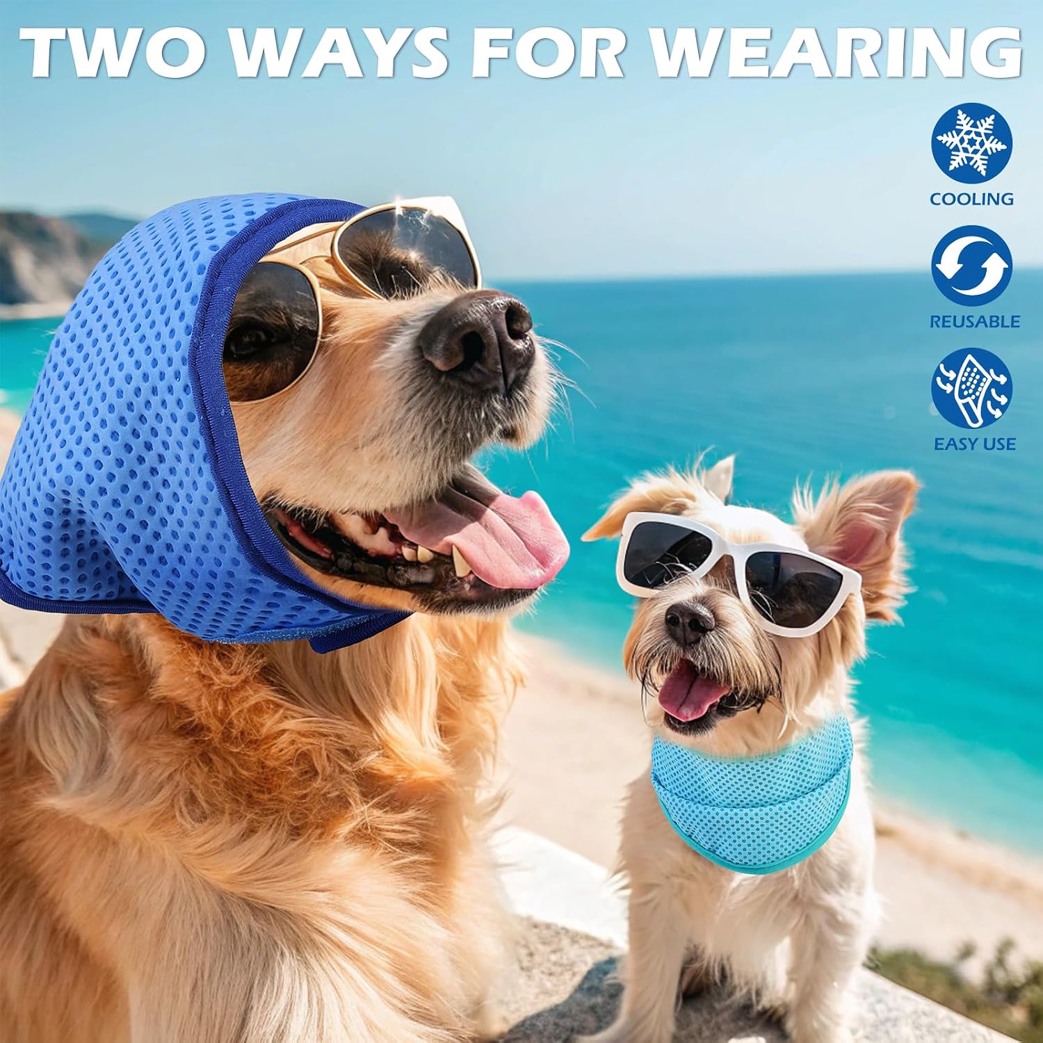 Expawlorer dog cooling bandana green and navy variant lifestyle view