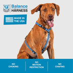 Blue-9 no-pull harness with 3M reflective stitching
