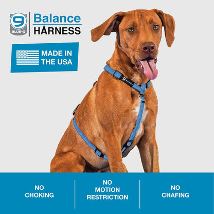 Blue-9 no-pull harness with 3M reflective stitching