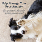 Compact white Yogasleep Pawzz anti barking trainer machine for home use